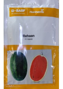 Rehaan F1 Hy Watermelon